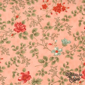 Tela Rendezvous Blush