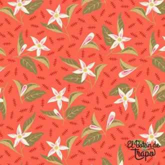 Tela EQP Beyond Time Jasmine Tomato Mistery EQP 2024