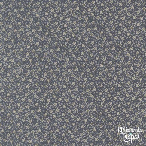 Tela Bluebird’s Nest Flowering Vine