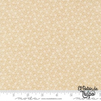 Tela Bluebird’s Nest Flowering Vine Tan 2