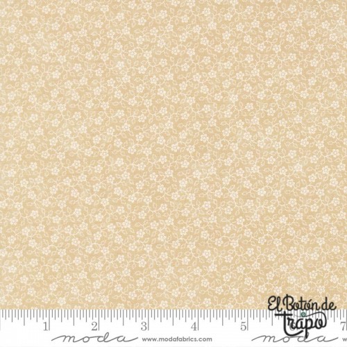 Tela Bluebird’s Nest Flowering Vine Tan