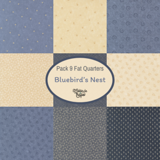 Pack 9 Fat Quarters...