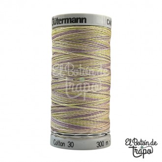 Hilo para bordar y acolchar a máquina Gütermann Sulky matizado 4024