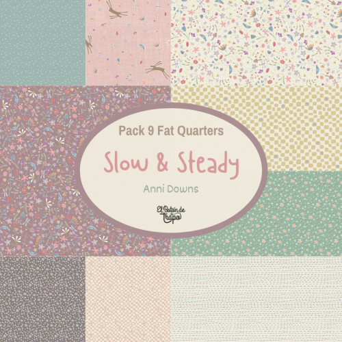 Pack Slow and Steady Anni Downs Fat Quarter patchwork quilting