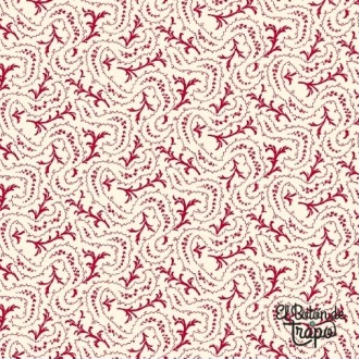 Tela R37 Collectors Gallery...